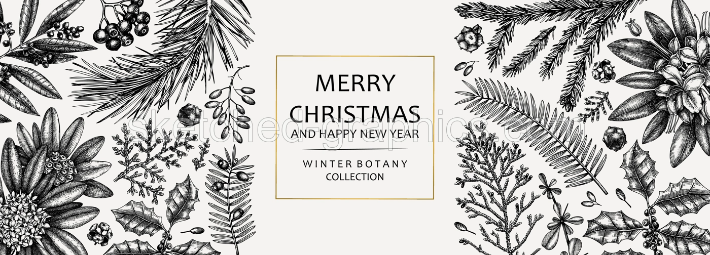 Christmas banner design. Vector frame with hand sketched winter flowers, evergreen plants and conifers. Vintage background with botanical elements. Engraved style vintage winter illustration. Illustration